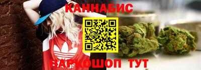 ALPHA PVP Ярославль